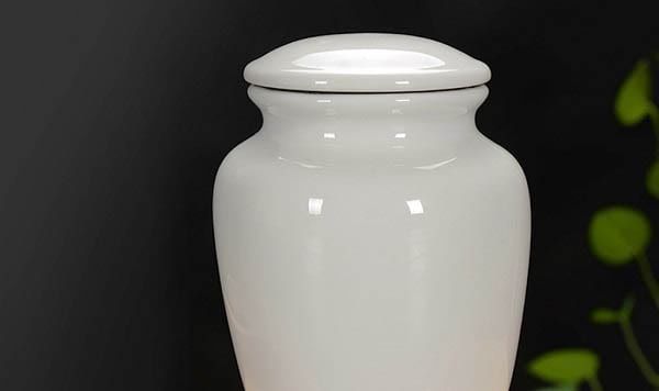 Die benötigte menschliche Asche in Diamanten zu machen.